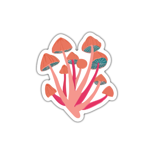 Producto - Honguitos - Vinilo Blanco + Laca