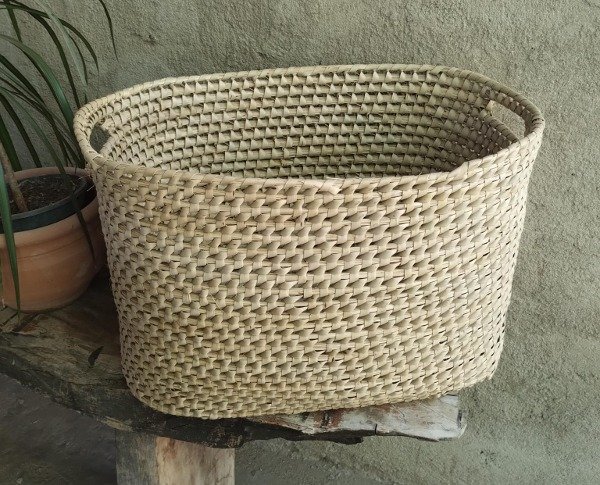 Producto - Canasto