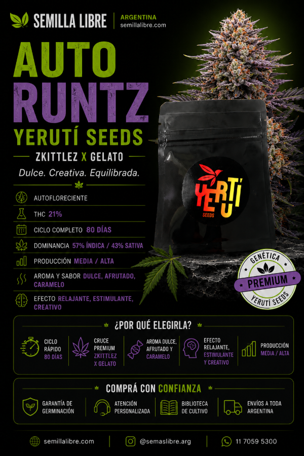 Producto - AUTO RUNTZ - YERUTÍ SEEDS. Pack 4 semillas - 1