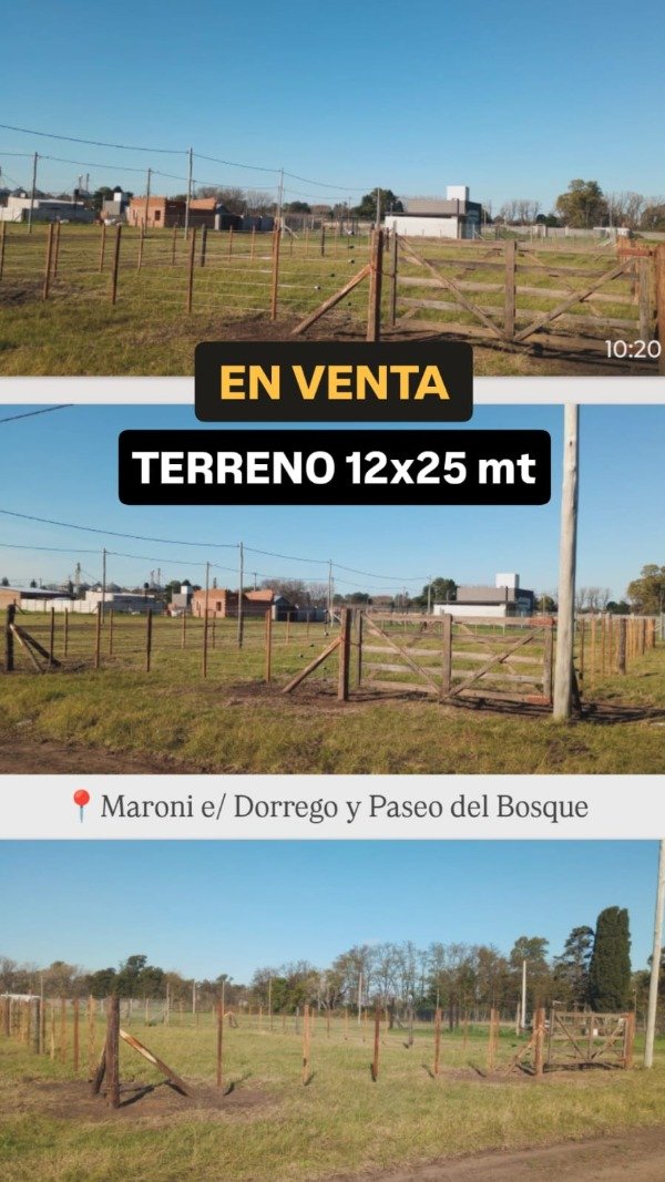 Producto - LOTE 39