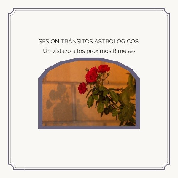Producto - SESIÓN DE TRÁNSITOS ASTROLÓGICOS