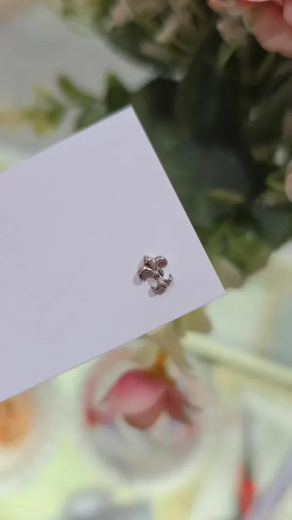 Producto - Piercing liz LABRET AQ