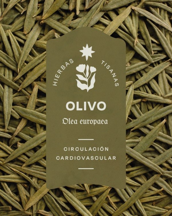 Producto - Olivo