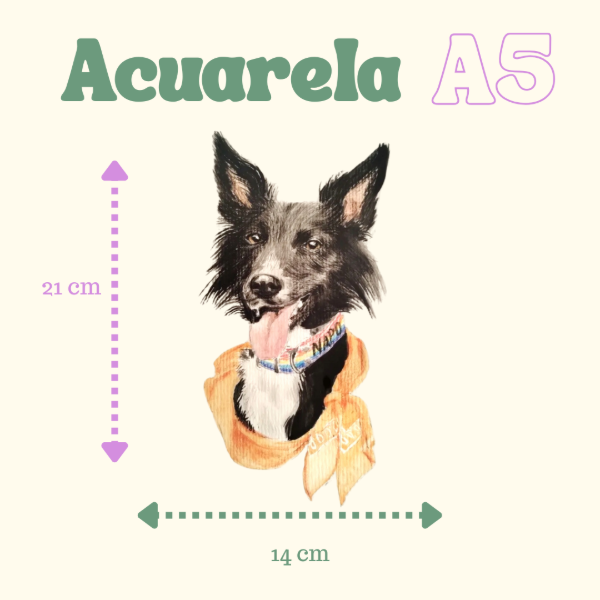 Producto - Acuarela A5