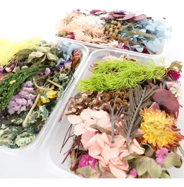 Producto - Flores Secas Grandes - 1