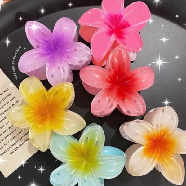 Producto - BROCHES HAWAII CLASSIC TAMAÑO MEDIANOS X 6 UNIDADES