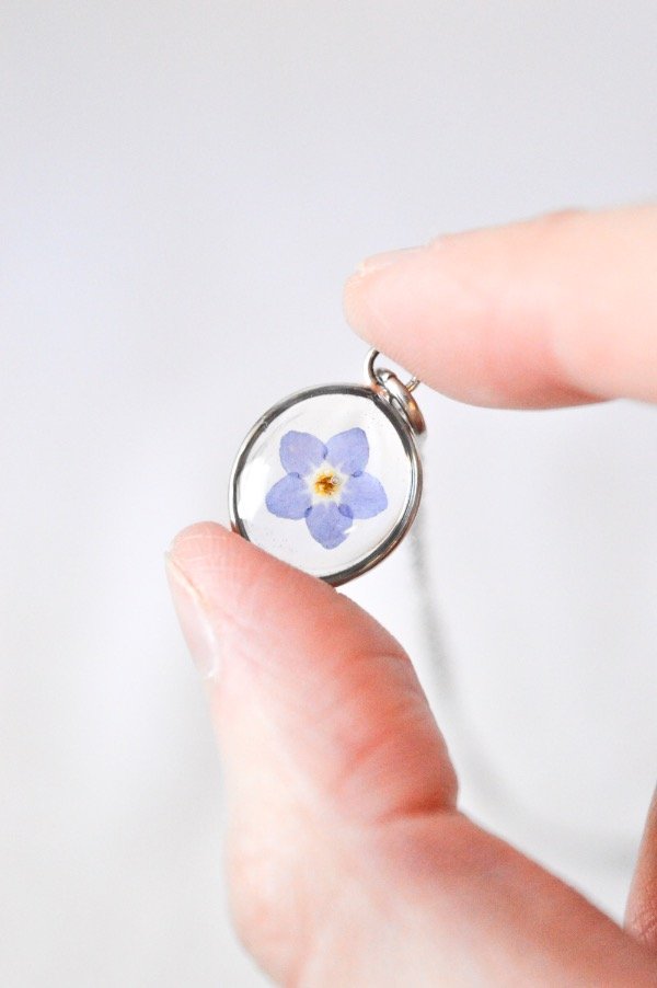 Producto - No Me Olvides Mini