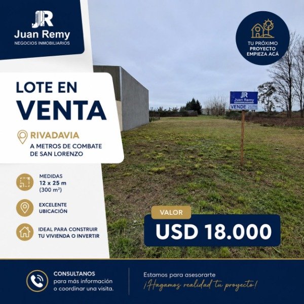 Producto - LOTE 44
