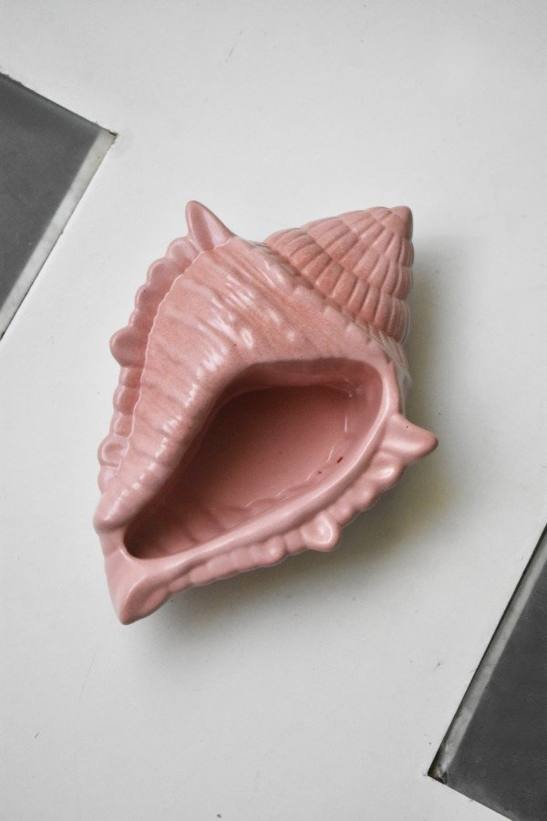 Producto - CARACOL