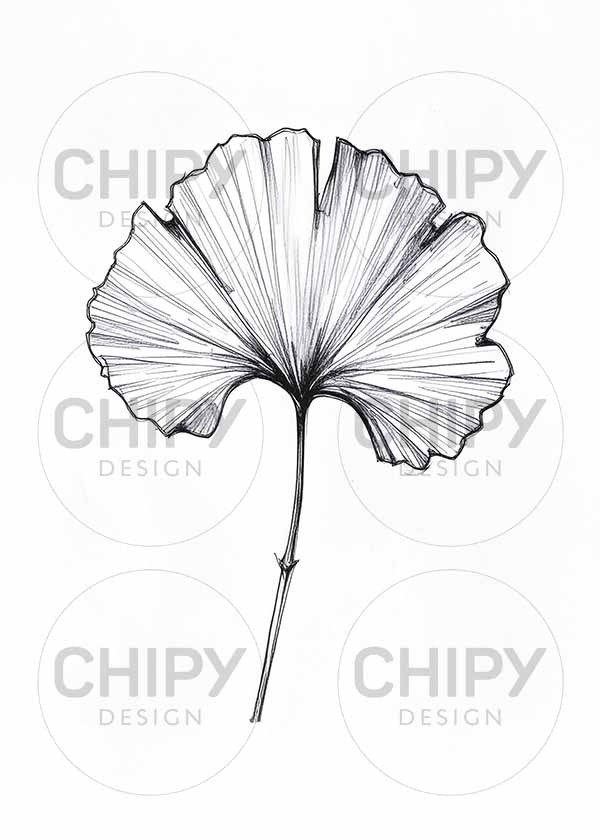 Miniatura de producto - 10