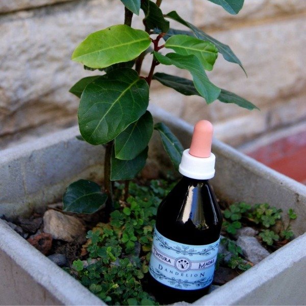 Producto - Tintura de Ambay