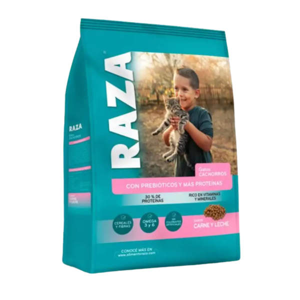 Producto - Raza Kitten