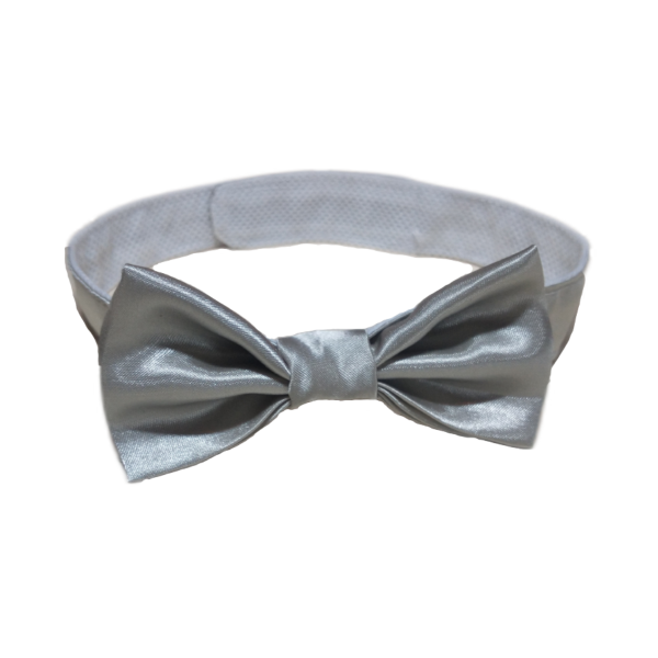 Producto - Moño Frederick Plateado
