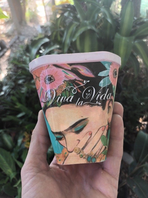 Producto - Sublimada Para Colgar Maceta - 6
