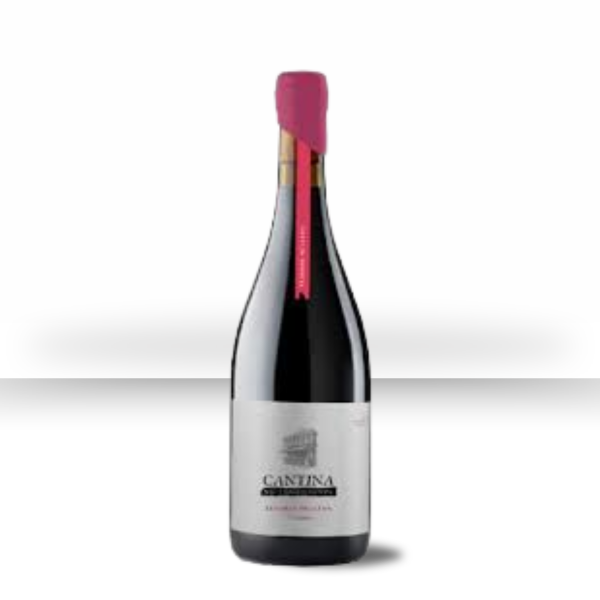 Producto - Tesoros ocultos Croatina Rosé
