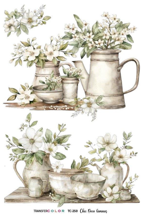 Producto - TransferCOLOR A4TC-250