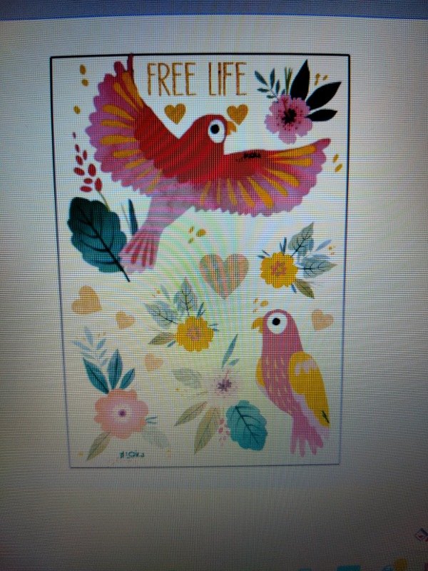 Producto - Termotransferibles 20x29cm Aves #7