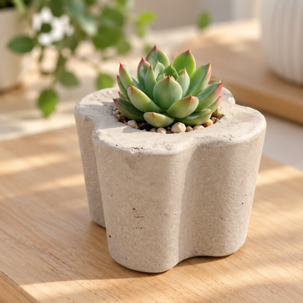 Producto - Mini macetitas de concreto