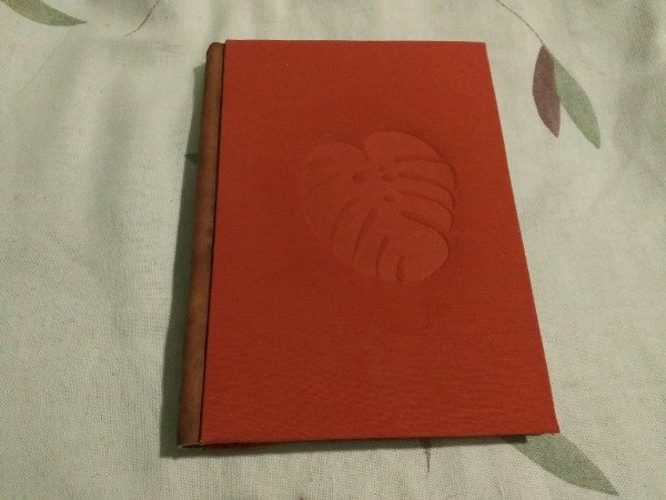 Producto - Monstera I