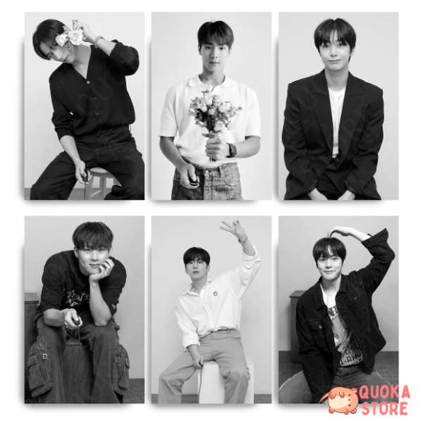 Producto - Photocards Monsta X - MONBEBE 9TH BIRTHDAY (Copper)