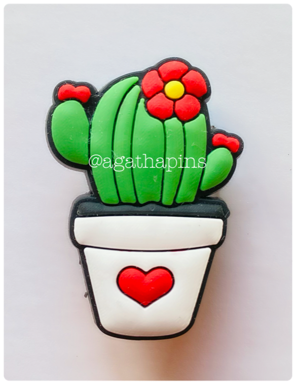 Producto - Cactus