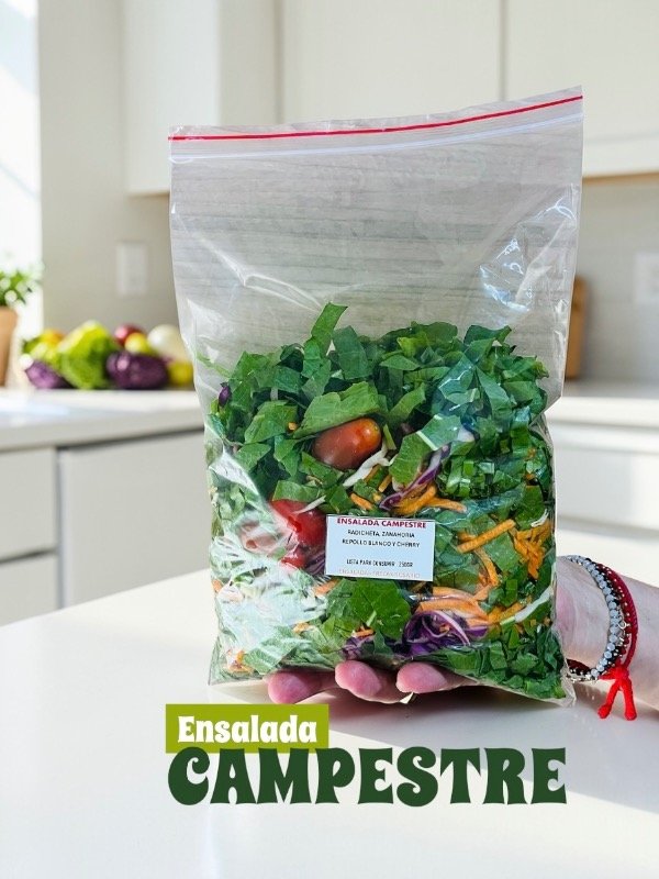 Producto - Bolsa ensalada CAMPESTRE 250gr