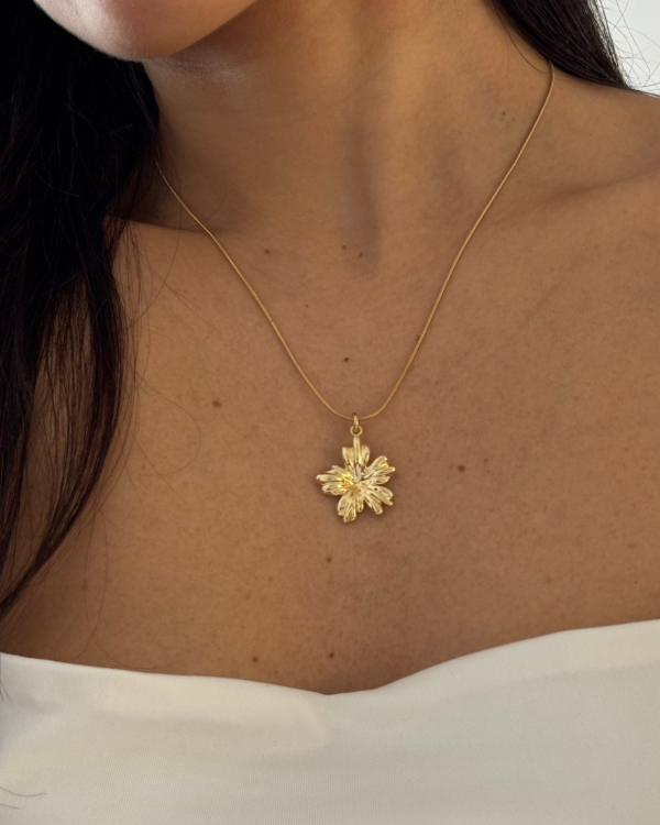 Producto - Conjunto Flor Doré