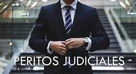 Producto - ASISTENTES Y AUXILIARES DE PERITOS JUDICIALES. ART: ASPJDTA - 2233669