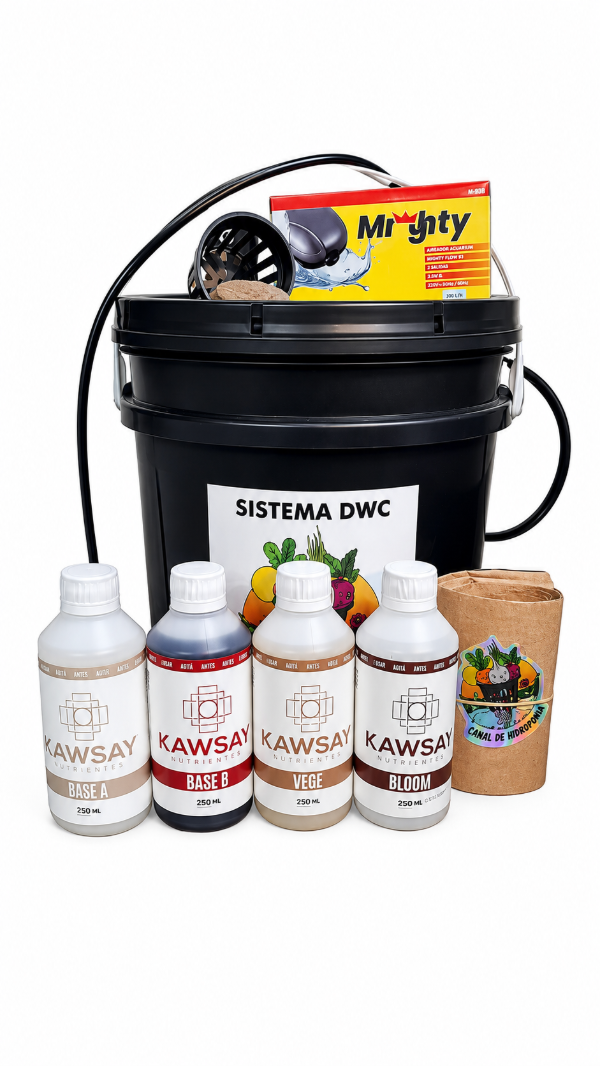 Producto - Sistema DWC de 10L + Combo Kawsay 250ml