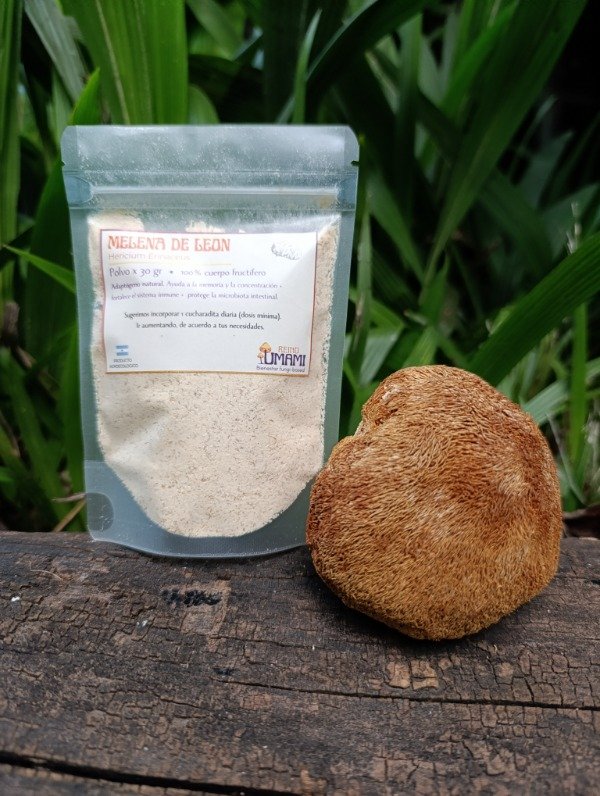 Producto - MELENA DE LEÓN -  polvo 30 gr