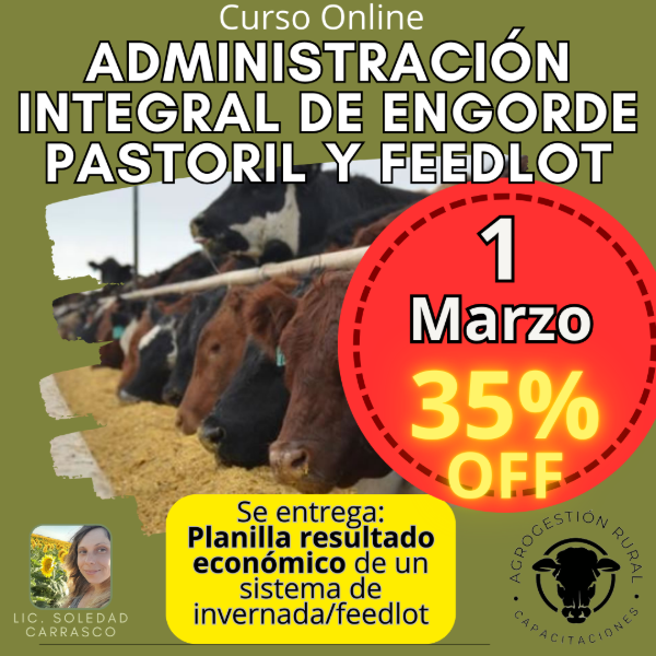 Producto - Curso Online: Administración Integral de Engorde Pastoril y Feedlot