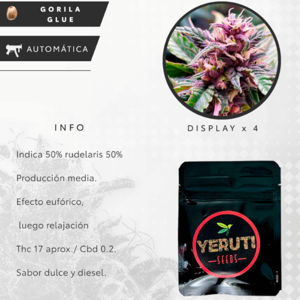 Producto - SEMILLA YERUTI GORILA GLUE