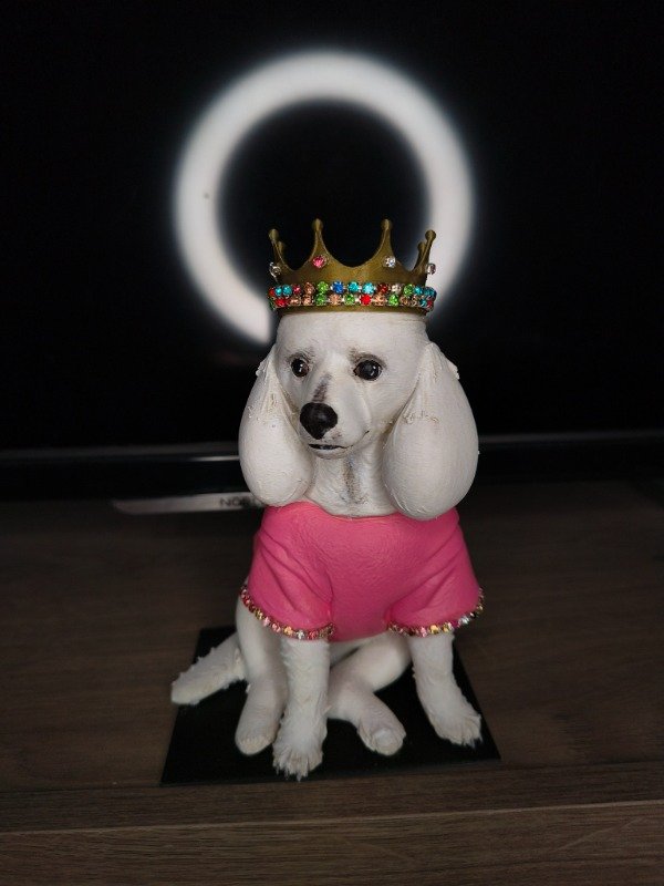 Producto - TU MINI MASCOTA COLECCIONABLE