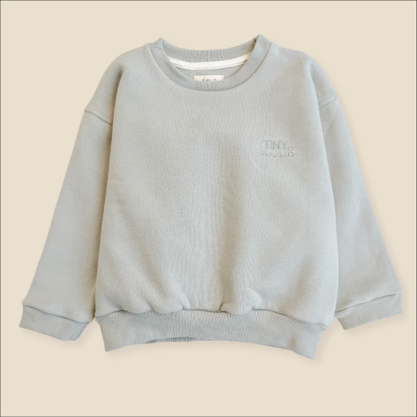 Producto - Buzo Little T