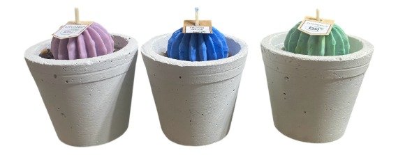 Producto - Velas Cactus
