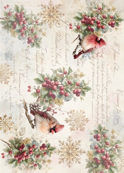Producto - NAVROSE 9