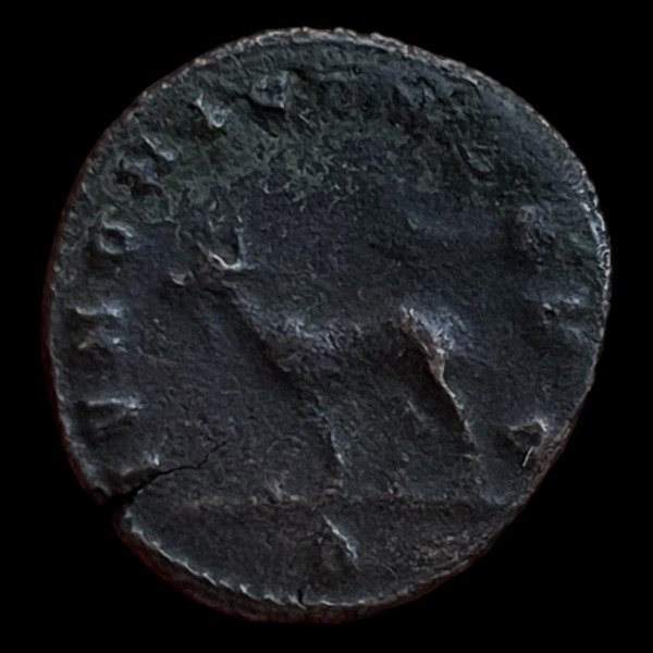 Producto - Salonina (260-268 DC) Antoniniano. Ceca de Roma - IVNONI CONS AVG