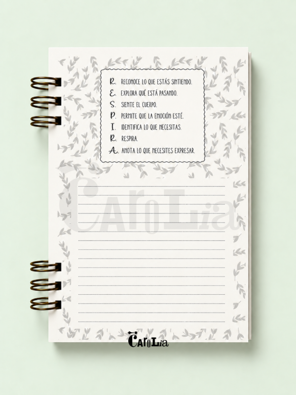 Producto - Journal Emocional - 5