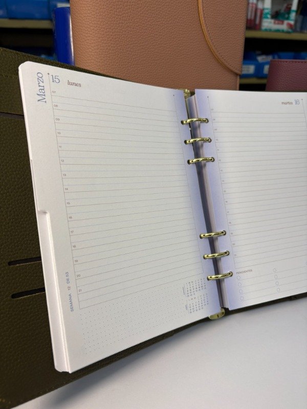 Producto - Agenda Diaria Rep. Cambiable - Timeless Clásica - "Mundo FW" - 2