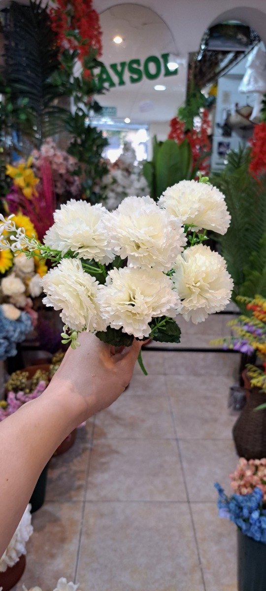 Producto - RAMO CLAVELES