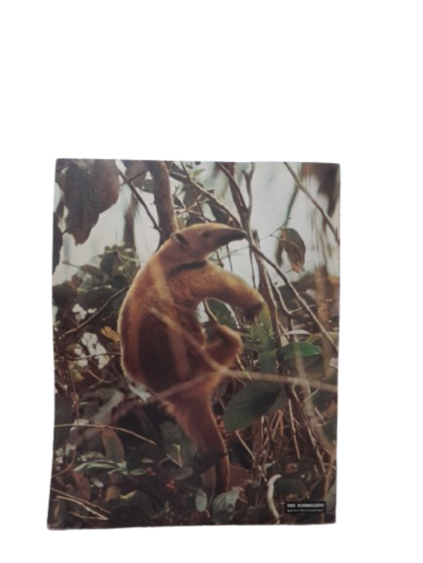 Miniatura de producto - 7