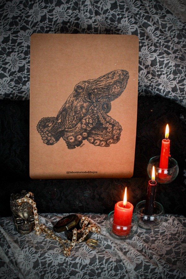 Producto - Pulpo