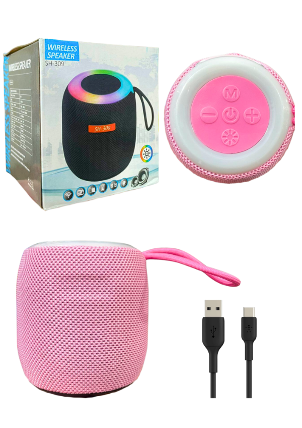 Producto - PARLANTE WIRELESS SPEAKER 309