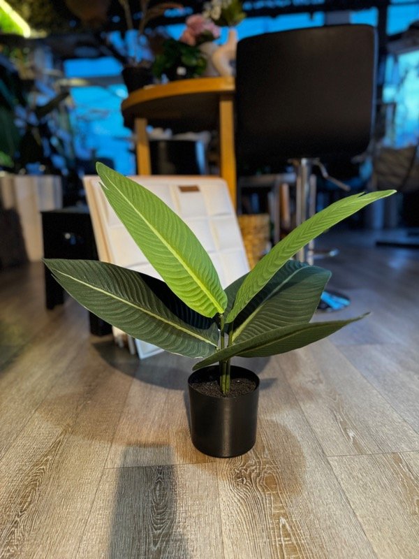 Producto - Planta artificial Ave Paraíso 50 cm
