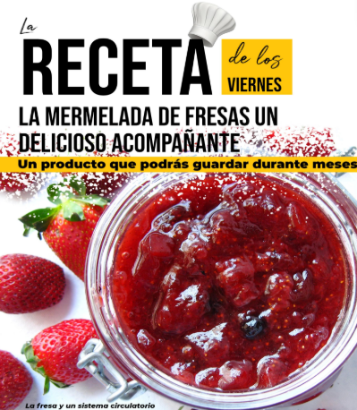 Producto - Mermelada de Fresa Casera