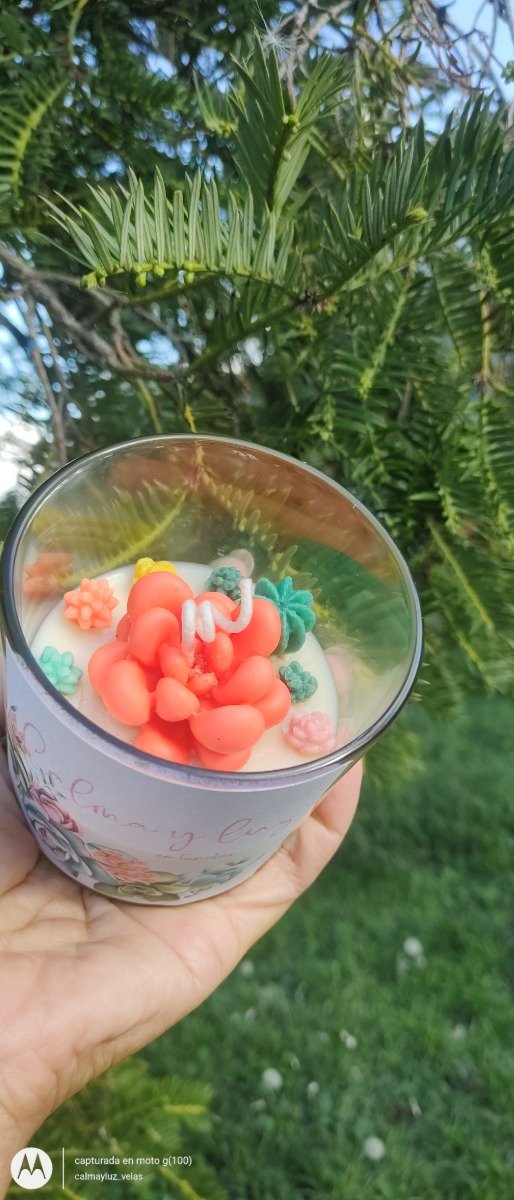 Producto - Vela Calma Suculentas