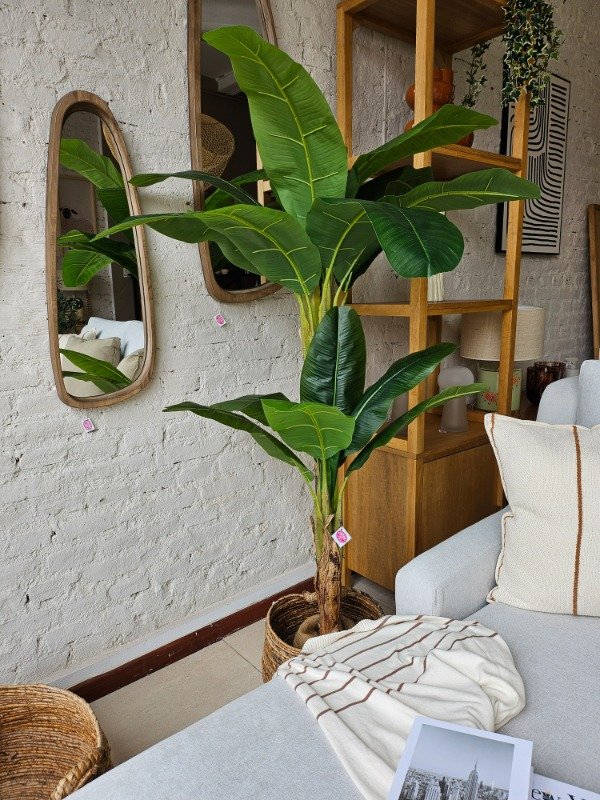 Producto - BANANERO 180 cm