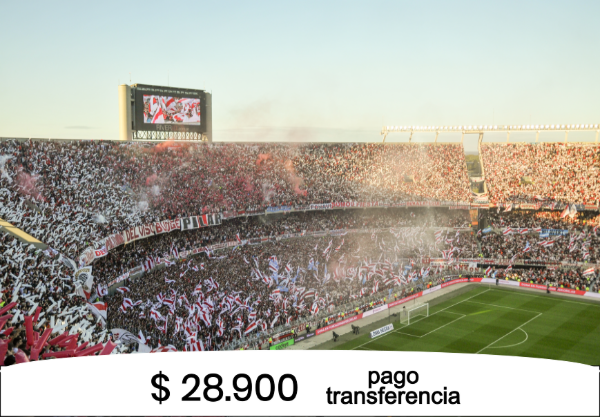 Producto - Rompecabezas 48 piezas - River - Monumental Día - 0