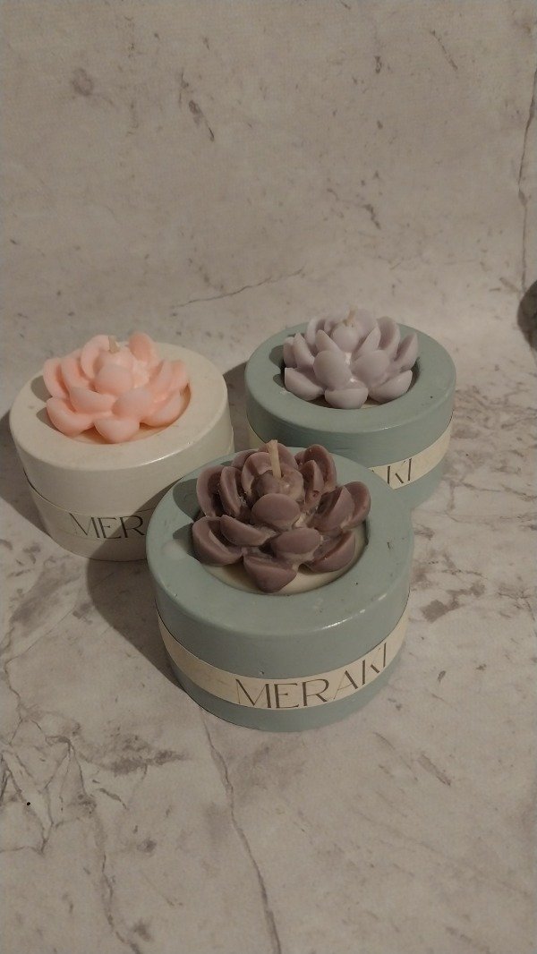 Producto - SUCULENTA