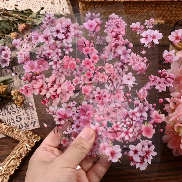 Producto - LÁMINAS SAKURA X 6